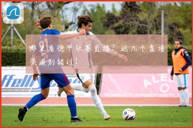 哪里看德甲联赛直播？这几个靠谱渠道别错过！