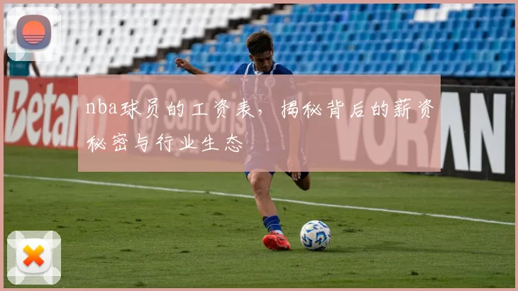 nba球员的工资表,揭秘背后的薪资秘密与行业生态