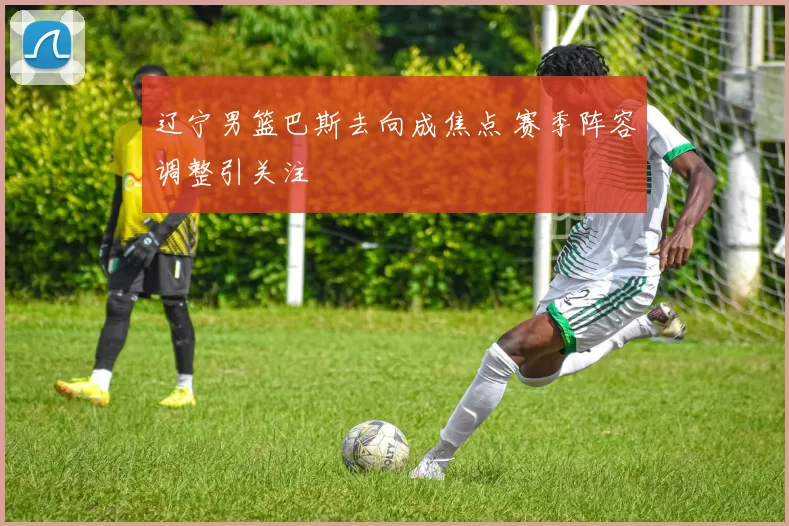 辽宁男篮巴斯去向成焦点 赛季阵容调整引关注