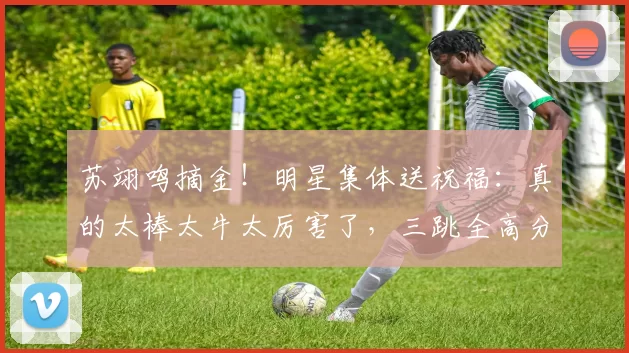 苏翊鸣摘金！明星集体送祝福：真的太棒太牛太厉害了，三跳全高分