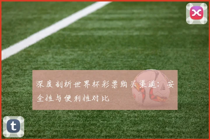 深度剖析世界杯彩票购买渠道：安全性与便利性对比