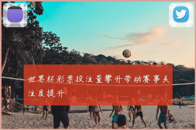 世界杯彩票投注量攀升带动赛事关注度提升