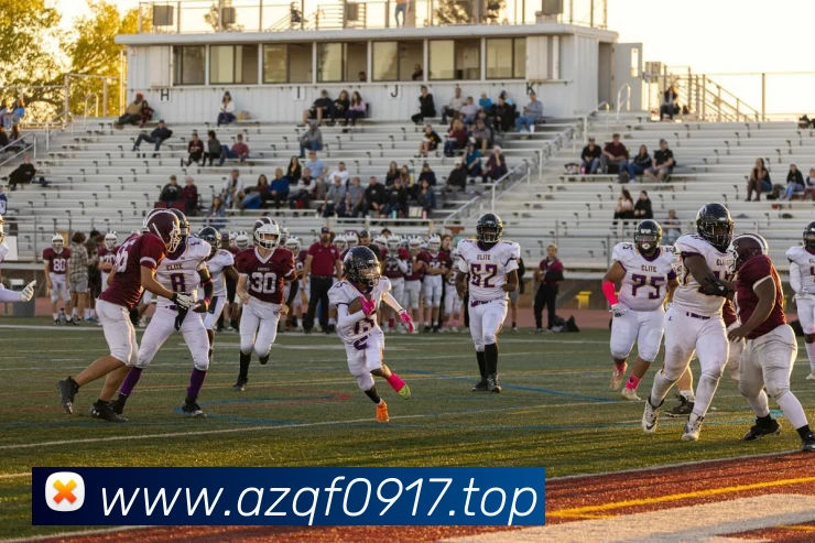 App Interface Preview